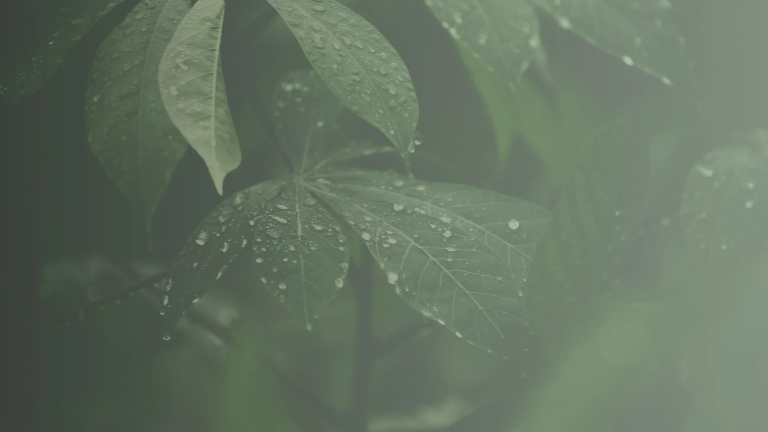 Hero Image Background